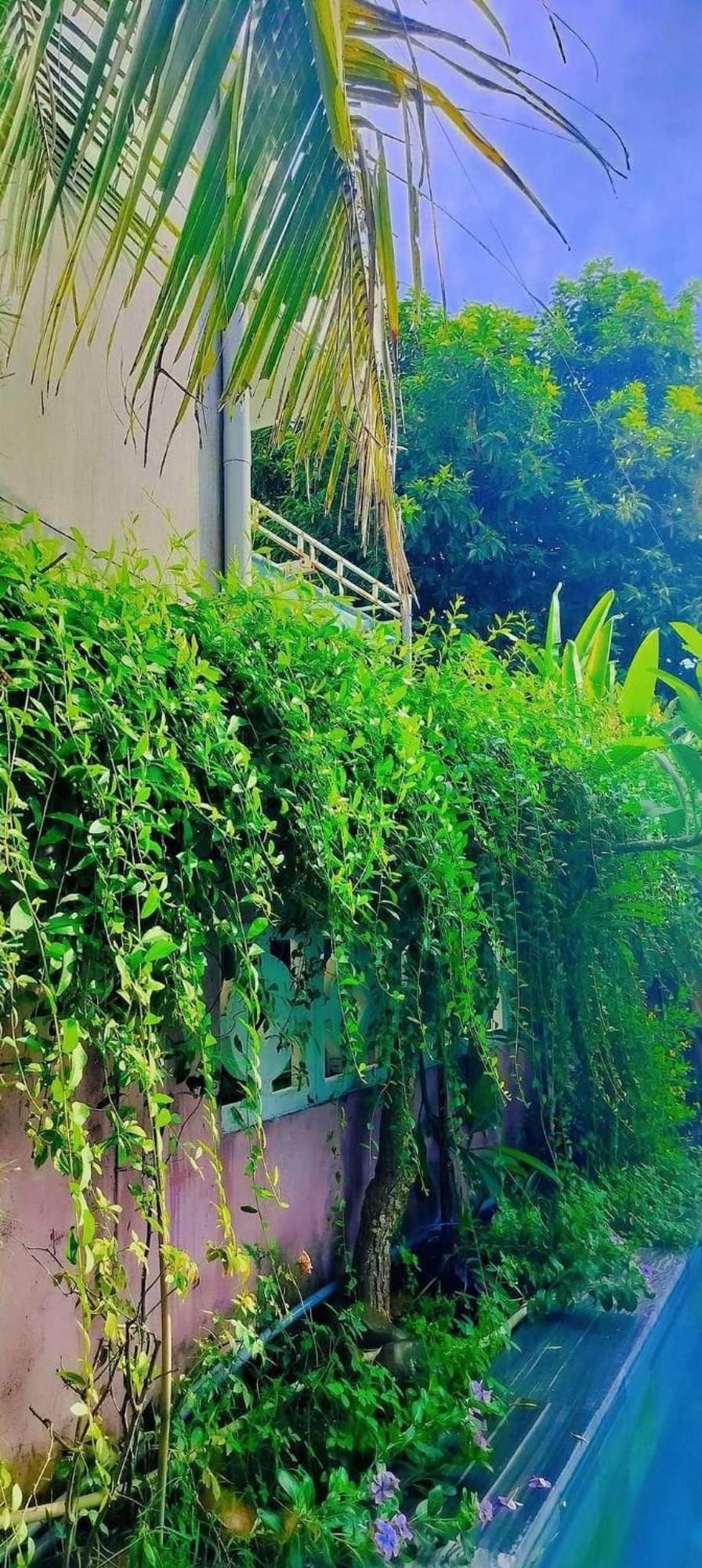 Hoi An Mountain House Villa 외부 사진